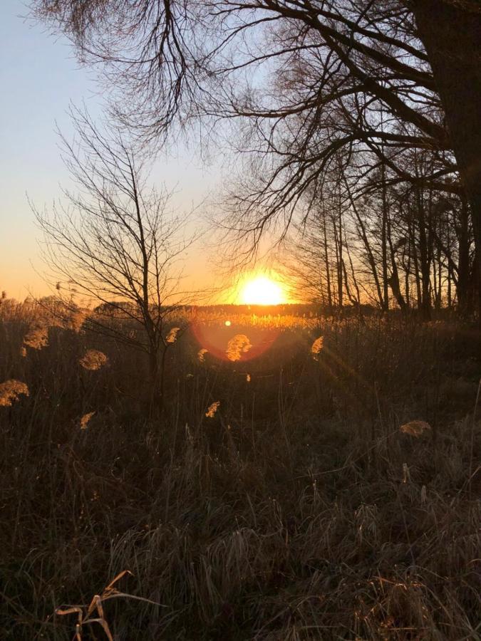 Zbychowka Kolonia Rybacka Bagian luar foto